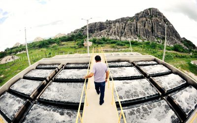 Cagece e Uece desenvolvem projeto para sustentabilidade no tratamento de esgoto