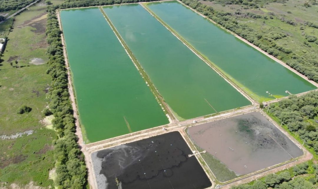 Cagece planeja tratar esgoto com Soluções Baseadas na Natureza