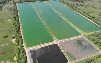 Cagece planeja tratar esgoto com Soluções Baseadas na Natureza