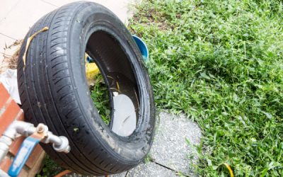 Combate ao aedes: Cagece alerta para cuidados com focos do mosquito nesta pré-estação chuvosa