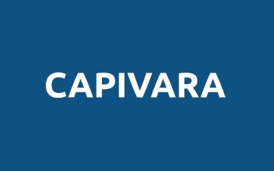 Capivara
