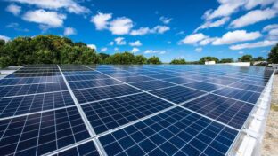 Planta solar gera economia da ordem de R$ 98 mil com energia elétrica