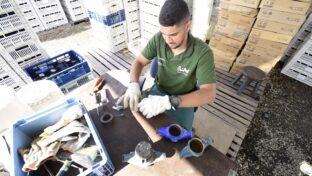 Sustentabilidade: Cagece destina 10 toneladas de plástico de hidrômetros para reciclagem