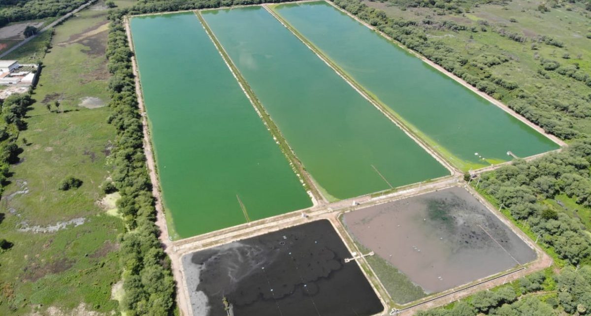 Cagece planeja tratar esgoto com Soluções Baseadas na Natureza