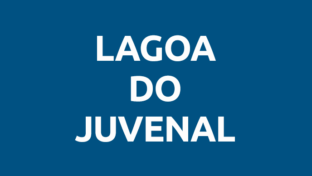 Manutenção Programada