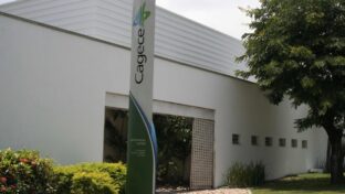 Cagece funcionará em regime de plantão no feriado de Nossa Senhora da Assunção