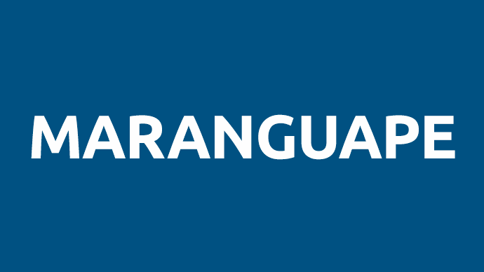 Manutenção Programada