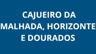 Intermitência