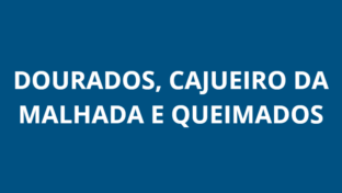 Manutenção Emergencial