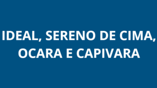 Intermitência