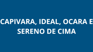 Manutenção Emergencial